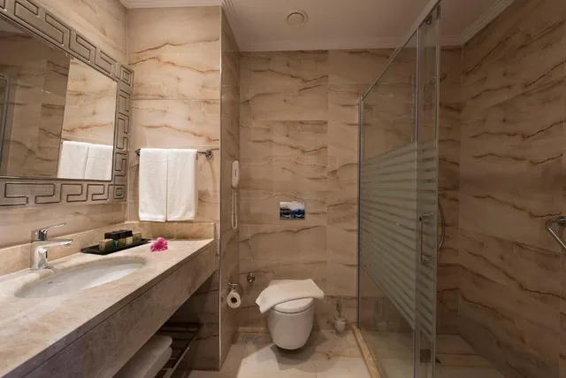 غرفة قياسية بسرير مزدوج بإطلالة على المسبح، Oz Hotels Sui 4/4