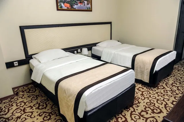 غرفة قياسية مفردة بسرير مزدوج، Teona Otel 5/9