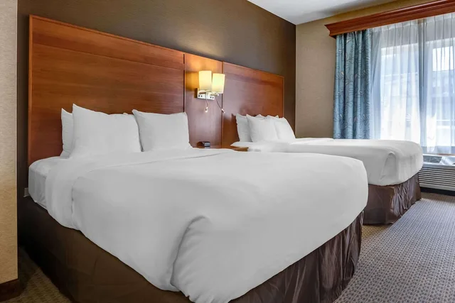 جناح بسريرين كوين مع أريكة، Comfort Suites Hotel and Conference Center, Berlin OH 2/4