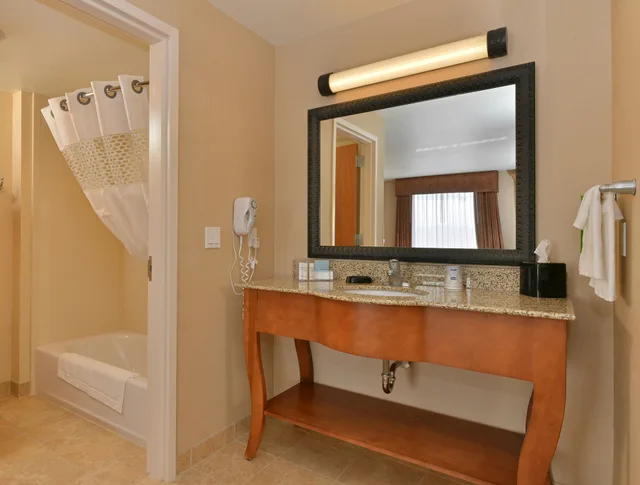 غرفة بسرير كينج مع أريكة لذوي الإعاقة، Hampton Inn & Suites Buffalo 4/4