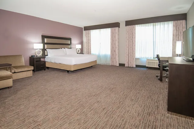 غرفة قياسية بسرير كينج لذوي الإعاقة، HOLIDAY INN NEW ORLEANS AIRPORT NORTH 1/3