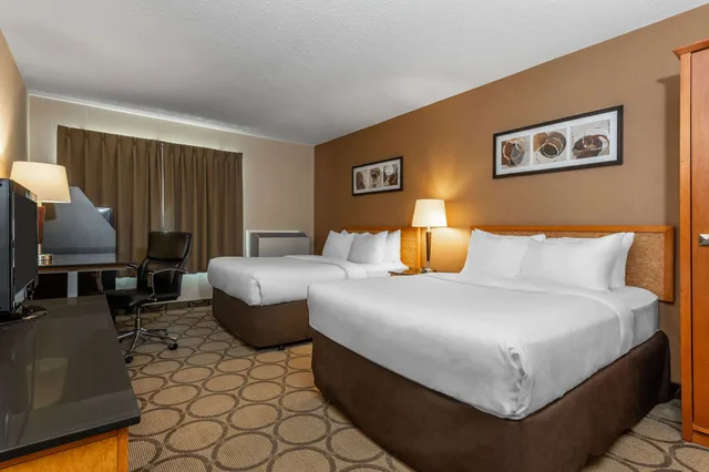 غرفة قياسية بسريرين مزدوجين، Comfort Inn Corner Brook 4/10