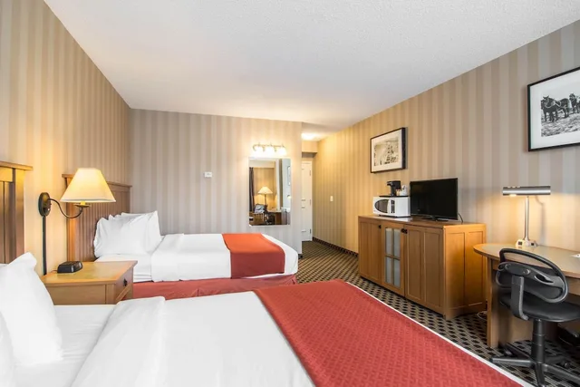 Standard, 2 Queen Beds, Quality Hotel Drumheller 1/2