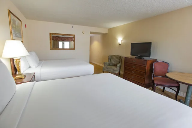 غرفة ديلوكس بإطلالة على المتنزه، Music Road Hotel 3/4
