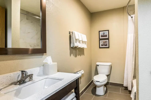 غرفة قياسية بسريرين مزدوجين، Comfort Inn Downtown Detroit MI 9/9