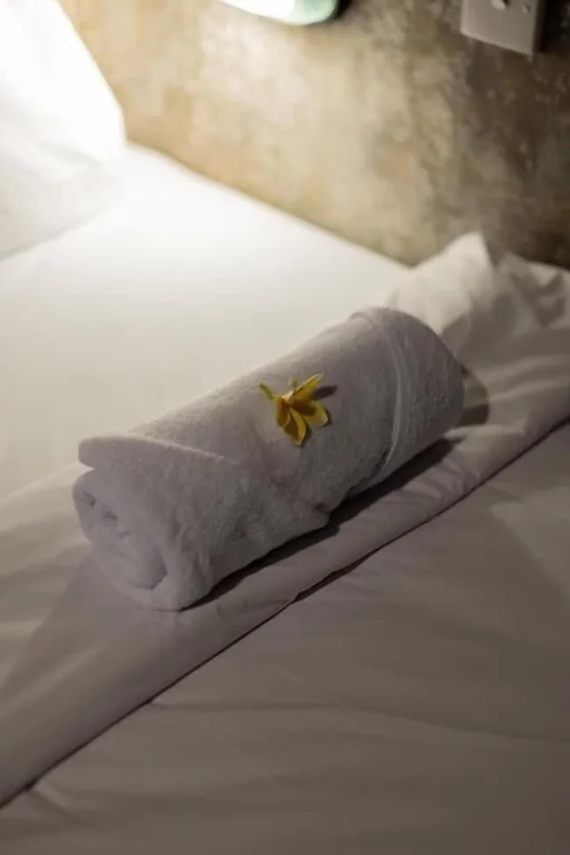 Joni Ubud Hostel، Ubud 22/50