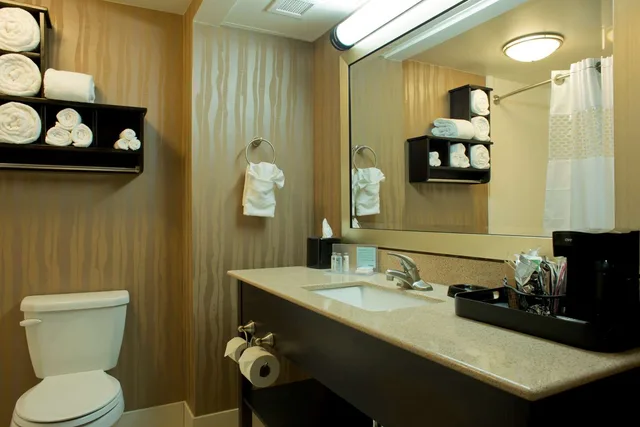 جناح استوديو بسرير كينج مع أريكة، Hampton Inn Milledgeville 5/6