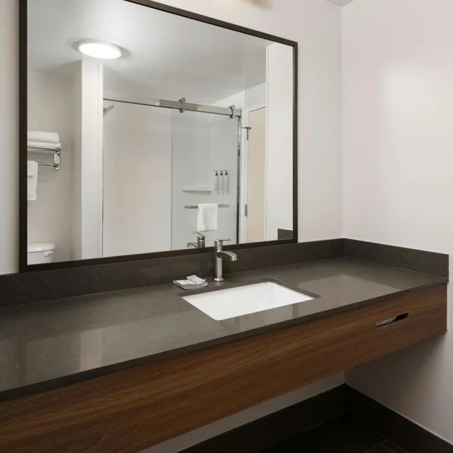 Room, King Bed, Bathtub, Accessible, Fairfield Inn Suites Muskegon Norton Shores 3/5