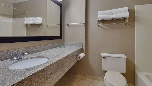 غرفة قياسية بسرير كينج، Best Western Pontiac Inn 5/5