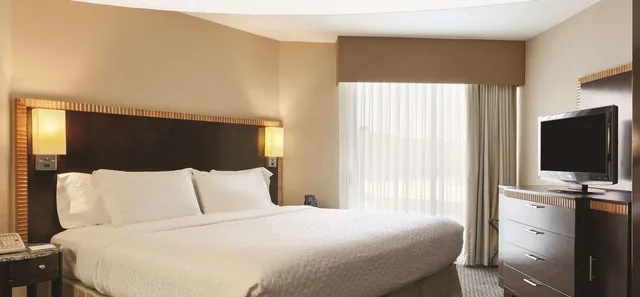 Suite, King Bed, Allergy Friendly, Accessible, Embassy Suites by Hilton Birmingham 3/9