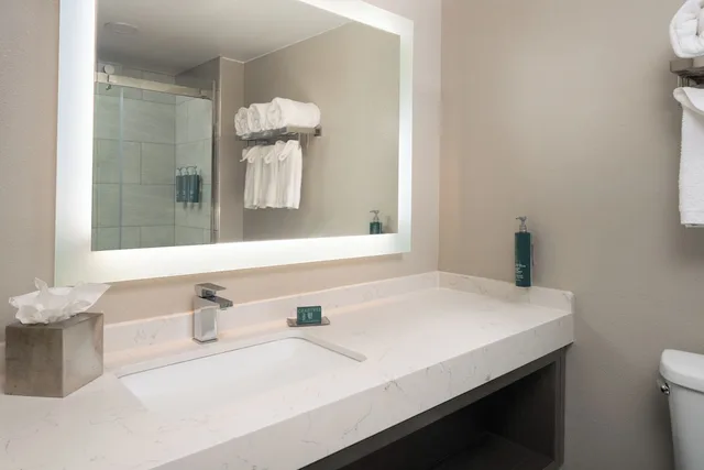 جناح بسرير كينج، DoubleTree by Hilton Providence Airport Warwick 2/2