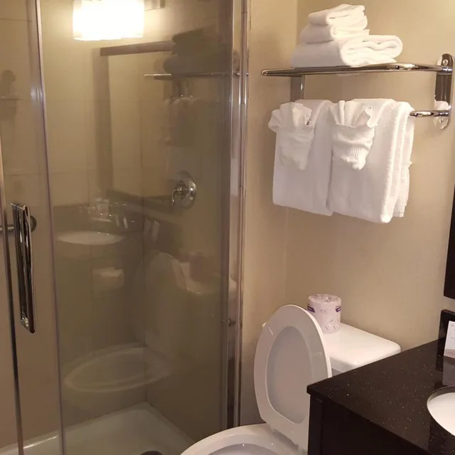 Executive, Suite, King Bed, Comfort Inn Fort Erie 4/4