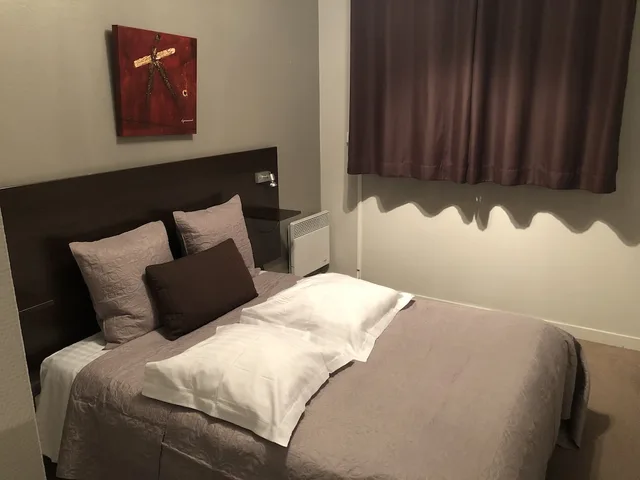 استوديو بسرير مزدوج، Les Palatines - Residence 5/6