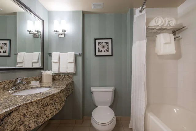 Evolution, King Bed، Hilton Garden Inn Lynchburg 3/3