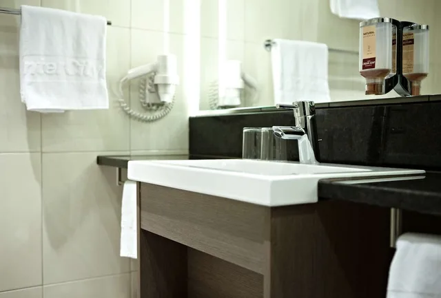 Business, Double Bed, Intercityhotel Mainz 4/4