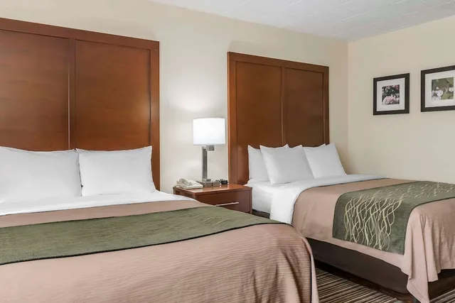 غرفة قياسية بسريرين كوين، Comfort Inn - Pocono Mountains 6/6
