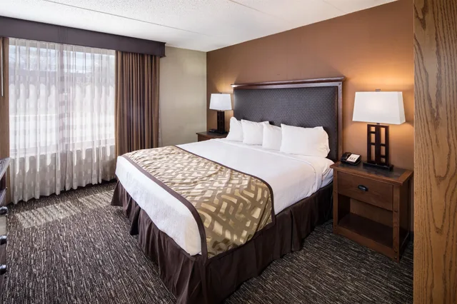 غرفة قياسية بسرير كينج، Best Western Ramkota Hotel 1/4