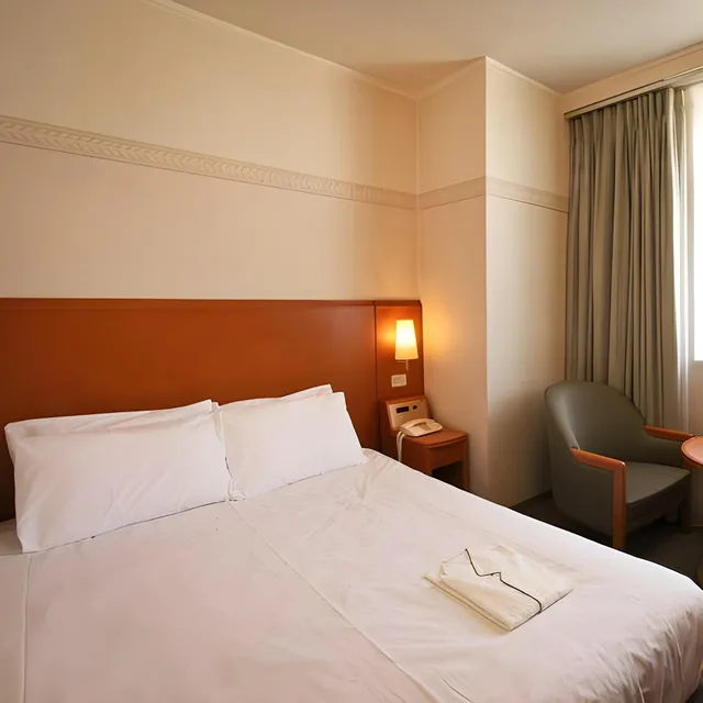 غرفة ديلوكس مفردة، Hotel Tetora Otsu Kyoto 2/2