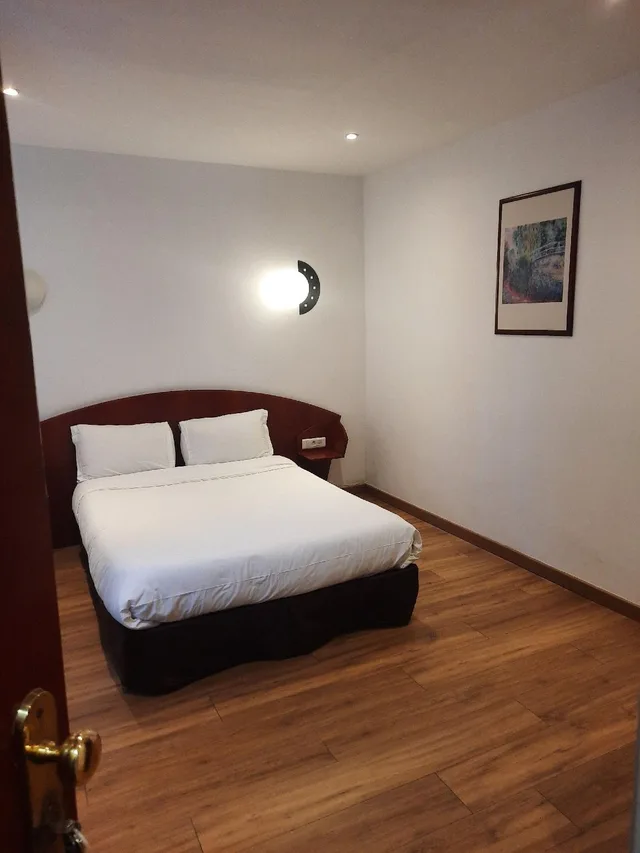 غرفة كلاسيكية بسرير مزدوج، Hotel Le Clemenceau 1/1