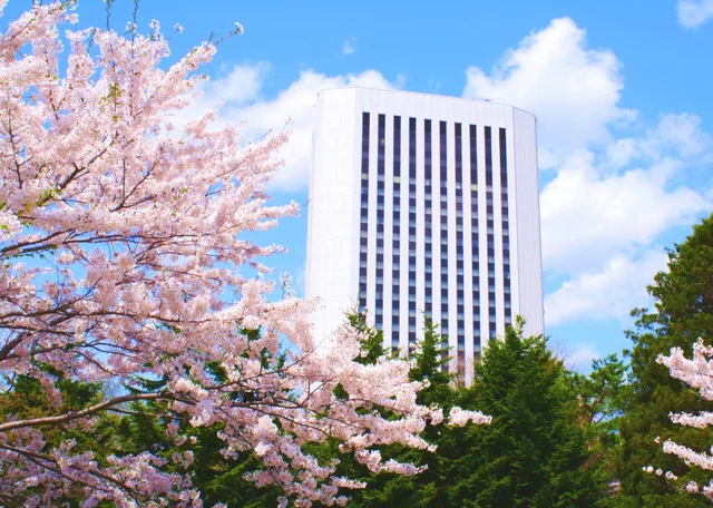 Suite, Double Bed, Park View, Premier Hotel Nakajima Park Sapporo 1/1