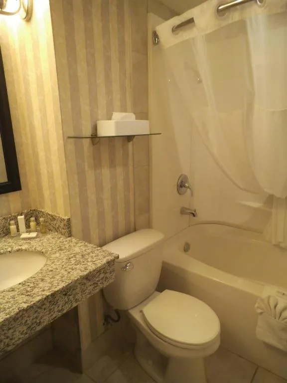 جناح بسرير كوين، Wyndham Garden Medicine Hat Conference Center 8/10