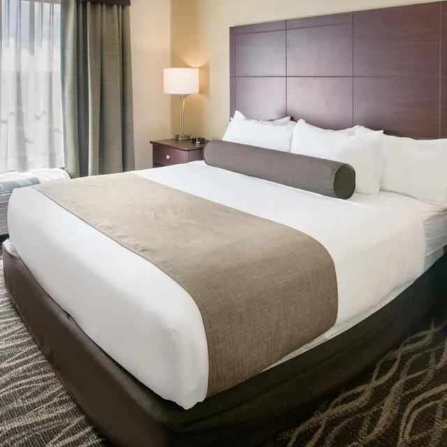 غرفة بسرير كينج لذوي الإعاقة، Cobblestone Hotel & Suites - Appleton International Airport 5/8