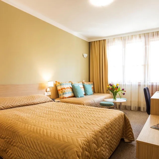 غرفة بسرير مزدوج، Geneva 2/10