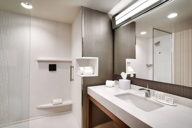 غرفة بسرير كينج مع أريكة لذوي الإعاقة، Courtyard by Marriott Atlanta Duluth Downtown 3/4
