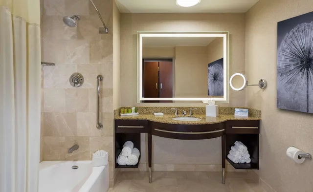 غرفة تنفيذية بسرير كوين، Hilton Americas Houston 5/6