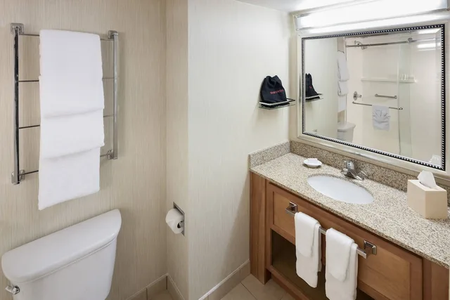 جناح بسرير كينج بشرفة بغرفة نوم واحدة مع أريكة لذوي الإعاقة، Residence Inn Seattle Downtown Lake Union 2/3