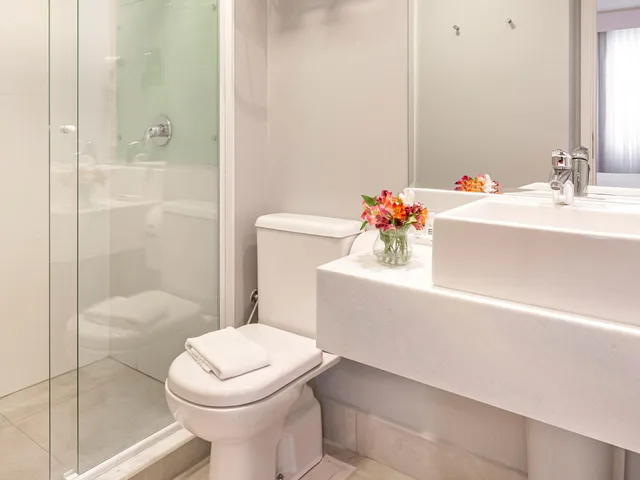 غرفة بريميوم بسرير مزدوج، Mercure Sao Paulo Vila Olimpia 3/4