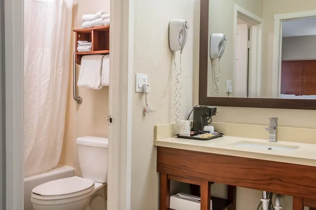 Studio, Suite, King Bed, Comfort Inn Savannah Midtown 4/4