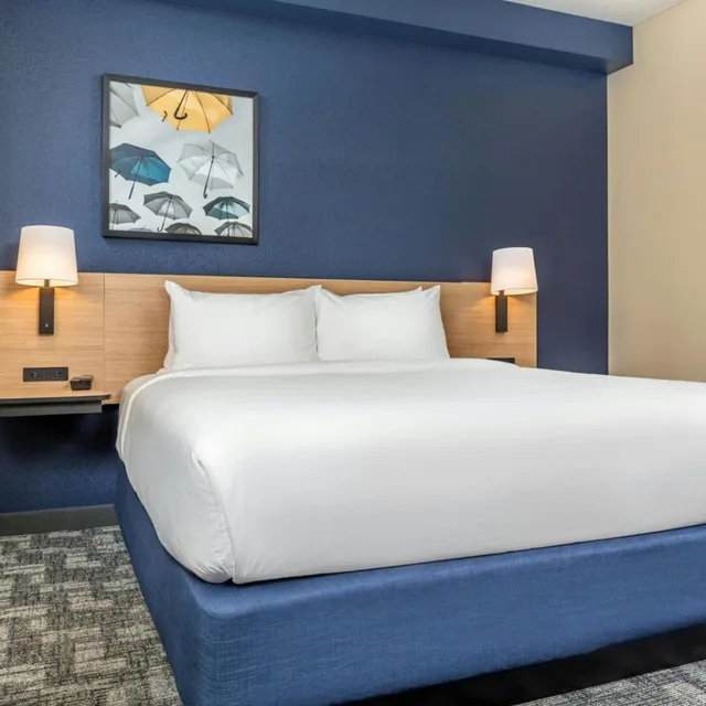 Room, King Bed, Partial View, Sofa، Comfort Suites Elkridge Columbia Gateway 3/8