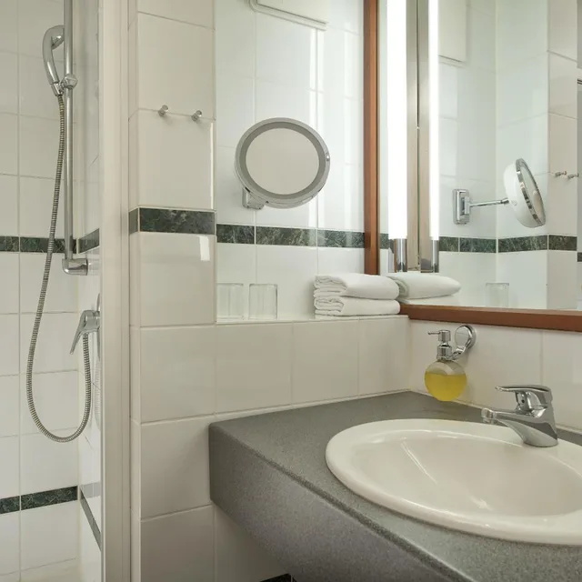 Plus, Standard, King Bed, Balcony، Seminaris Seehotel Potsdam 6/8