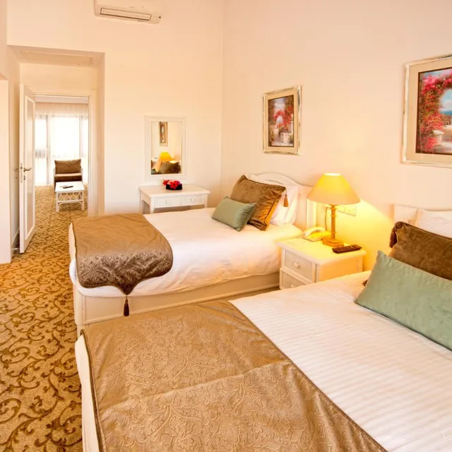 غرفة ديلوكس بسرير مزدوج أو سريرين منفصلين، The Olive Tree Hotel 1/5