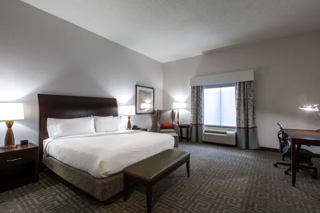 Evolution, King Bed، Hilton Garden Inn Lynchburg 2/3