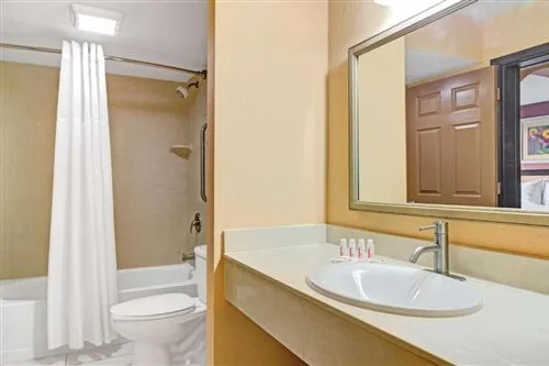 غرفة بسرير كينج لذوي الإعاقة، Days Inn & Suites by Wyndham Tampa near Ybor City 2/2
