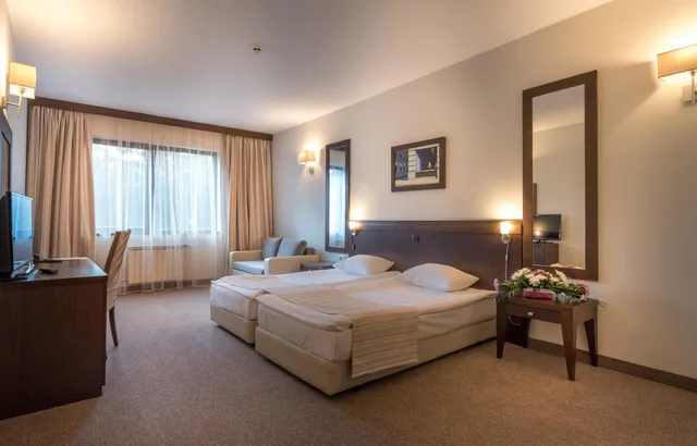 غرفة بسرير فردي، Lion Hotel Borovets 2/6