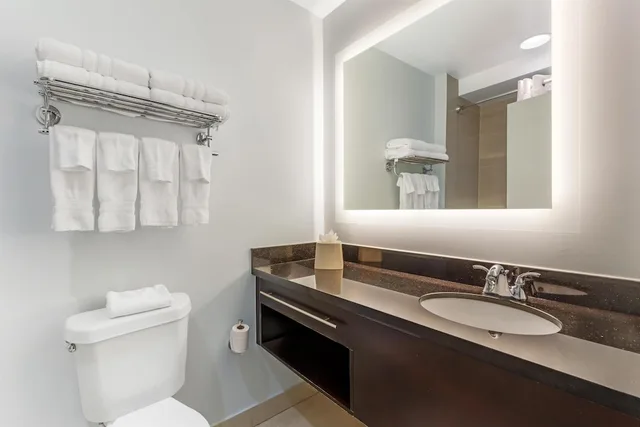 غرفة قياسية بسرير كينج، Best Western Plus Miami Airport North Hotel & Suites 7/8