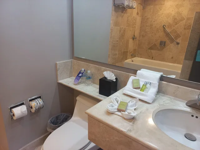 غرفة لذوي الإعاقة، Hilton Garden Inn Boca Del Rio Veracruz 3/3