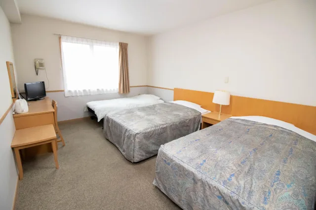 غرفة قياسية مفردة، Resort Inn Fuyo Kawaguchiko Inter Store 1/1