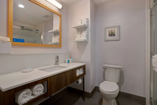 غرفة بسرير كينج مع أريكة لذوي الإعاقة، Hampton Inn Memphis Olive Branch 3/3
