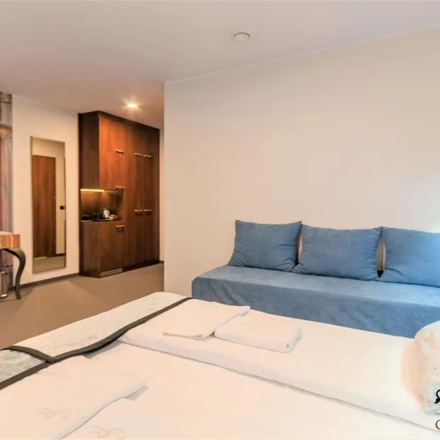 غرفة ديلوكس بسريرين منفصلين، Celestin Residence 3/10