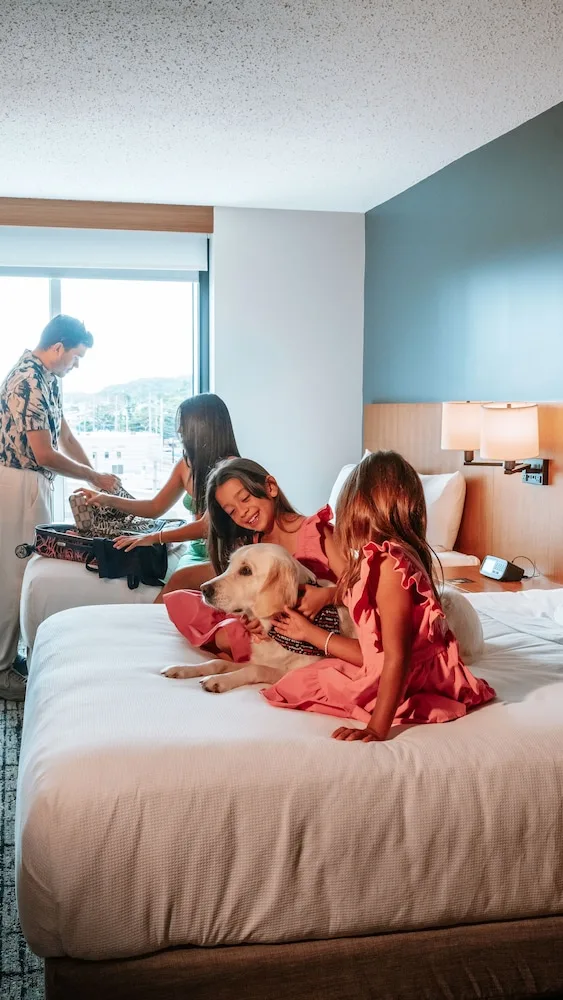 Room, 2 Queen Beds, High Floor, Hyatt Place Bayamon 4/10