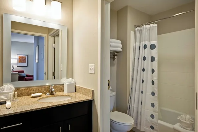 جناح بسرير كينج بغرفة نوم واحدة مع أريكة، Towneplace Suites By Marriott Dallas Lewisville 3/3