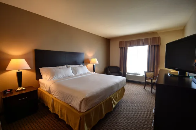 غرفة قياسية بسرير كينج لذوي الإعاقة، Holiday Inn Express Hotel And Suites Del Rio 4/6