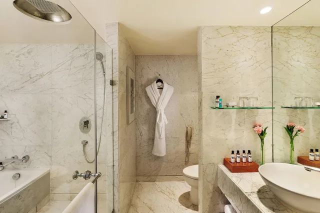 جناح بسرير كينج، Hyatt Regency Delhi 2/2