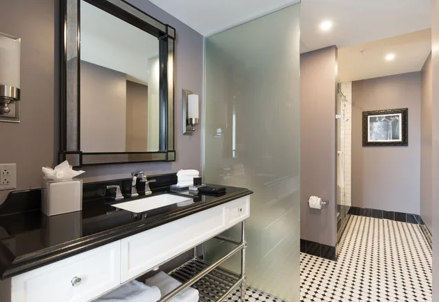 غرفة بريميير بسرير كينج، The Read House Hotel Historic Inn and Suites 5/5