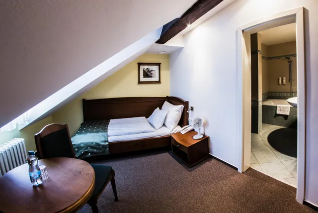 غرفة مفردة، Hotel Dvorak 1/1