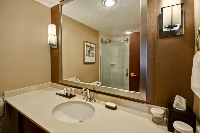غرفة بسرير كينج مع أريكة لذوي الإعاقة، Embassy Suites by Hilton Lexington UK Coldstream 5/10
